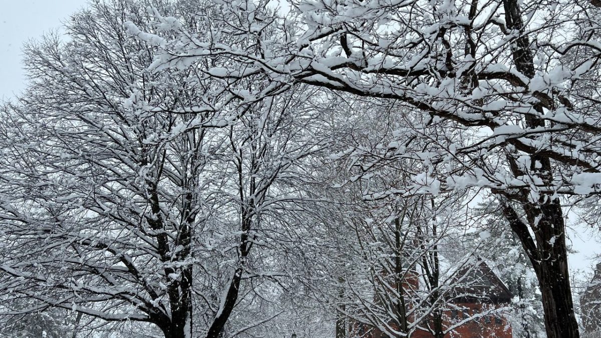 Zbog proljetne snježne oluje u SAD-u bez struje ostalo 300.000 ljudi, brojne saobraćajne nesreće