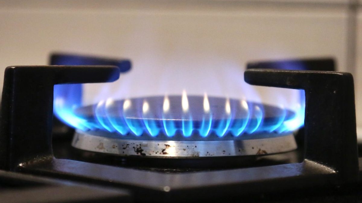 “Za privredu Srpske veoma važna zagarantovana cijena gasa”