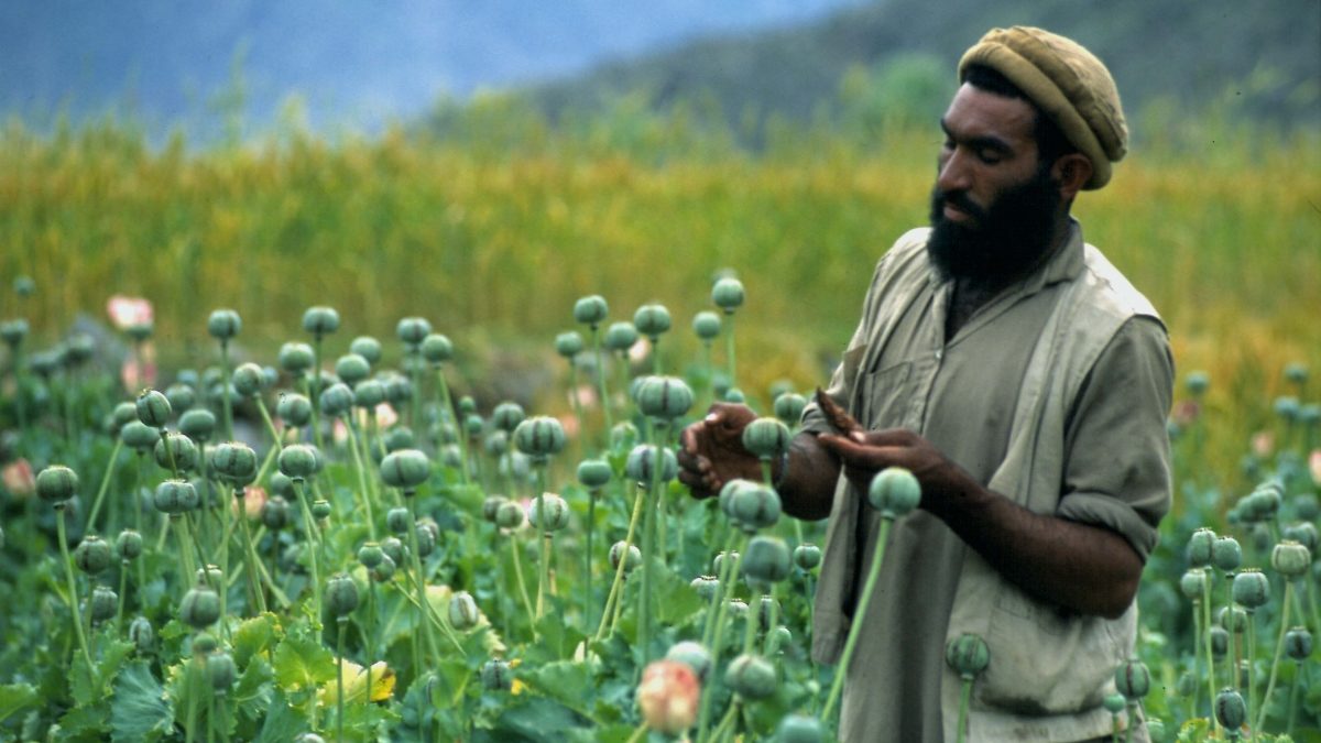 Indija zaplijenila čak tri tone heroina iz Afganistana, vrijednosti 2,7 milijardi dolara